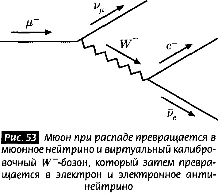 Закрученные пассажи. Проникая в тайны скрытых размерностей пространства Закрученные пассажи. Проникая в тайны скрытых размерностей пространства