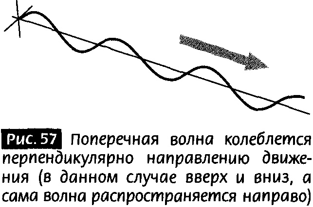 Закрученные пассажи. Проникая в тайны скрытых размерностей пространства Закрученные пассажи. Проникая в тайны скрытых размерностей пространства