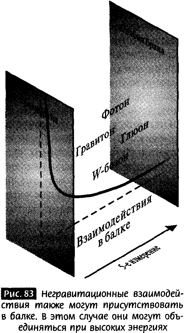 Закрученные пассажи. Проникая в тайны скрытых размерностей пространства Закрученные пассажи. Проникая в тайны скрытых размерностей пространства