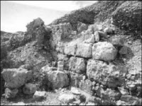 Генезис цивилизации. Откуда мы произошли... Генезис цивилизации. Откуда мы произошли...