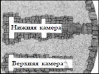 Генезис цивилизации. Откуда мы произошли... Генезис цивилизации. Откуда мы произошли...