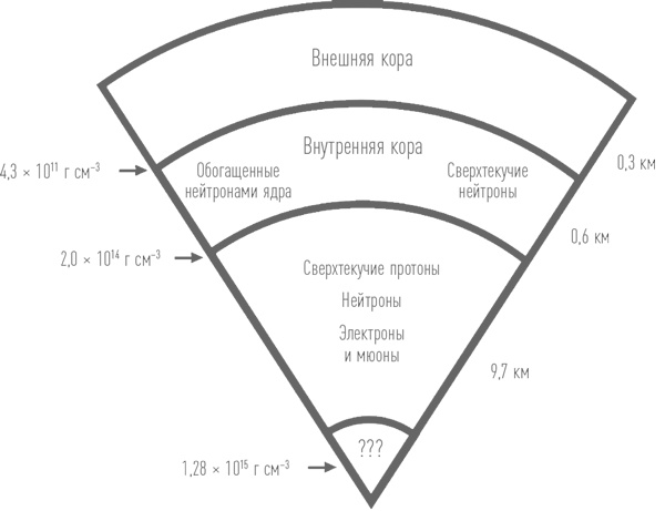 Суперобъекты. Звезды размером с город Суперобъекты. Звезды размером с город