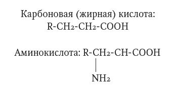 Мир, созданный химиками. От философского камня до графена Мир, созданный химиками. От философского камня до графена