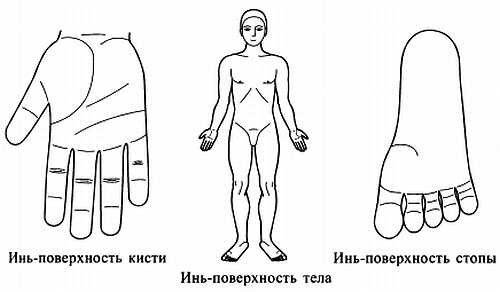 Сам себе Су Джок доктор Сам себе Су Джок доктор