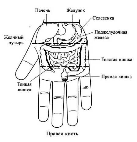 Сам себе Су Джок доктор Сам себе Су Джок доктор