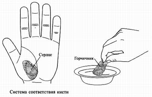 Сам себе Су Джок доктор Сам себе Су Джок доктор
