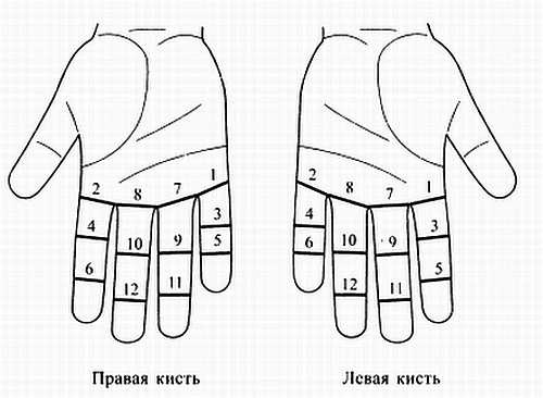 Сам себе Су Джок доктор Сам себе Су Джок доктор
