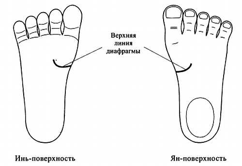 Сам себе Су Джок доктор Сам себе Су Джок доктор