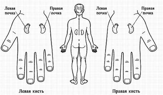 Сам себе Су Джок доктор Сам себе Су Джок доктор