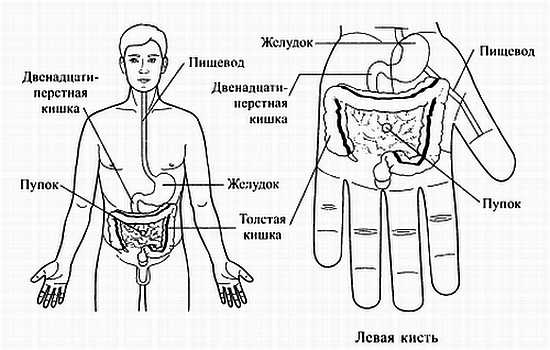 Сам себе Су Джок доктор Сам себе Су Джок доктор