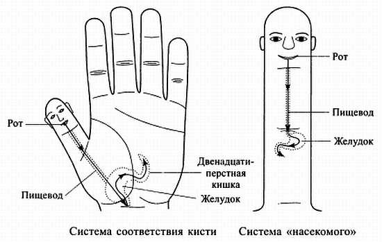 Сам себе Су Джок доктор Сам себе Су Джок доктор