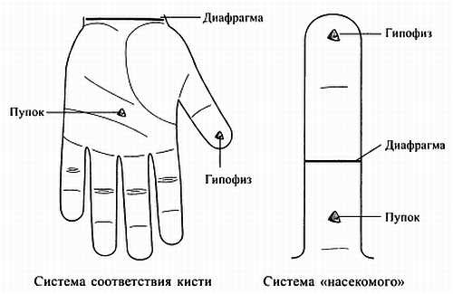 Сам себе Су Джок доктор Сам себе Су Джок доктор
