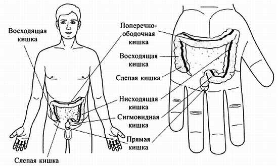 Сам себе Су Джок доктор Сам себе Су Джок доктор