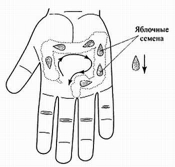 Сам себе Су Джок доктор Сам себе Су Джок доктор