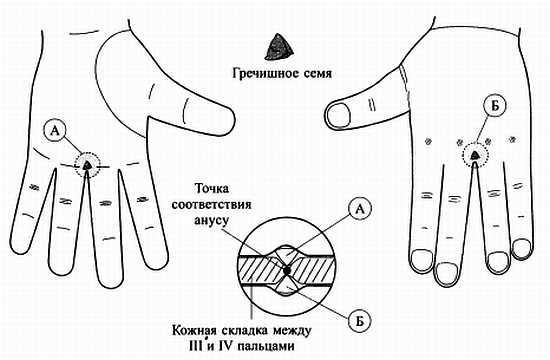 Сам себе Су Джок доктор Сам себе Су Джок доктор