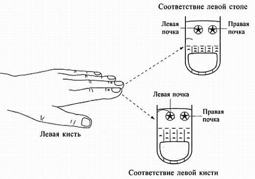 Сам себе Су Джок доктор Сам себе Су Джок доктор
