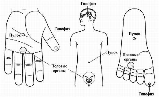 Сам себе Су Джок доктор Сам себе Су Джок доктор
