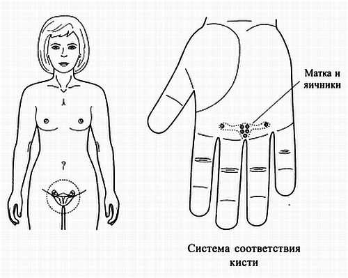 Сам себе Су Джок доктор Сам себе Су Джок доктор