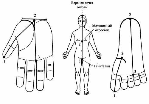 Сам себе Су Джок доктор Сам себе Су Джок доктор