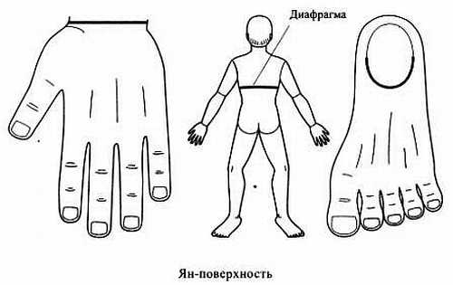 Сам себе Су Джок доктор Сам себе Су Джок доктор