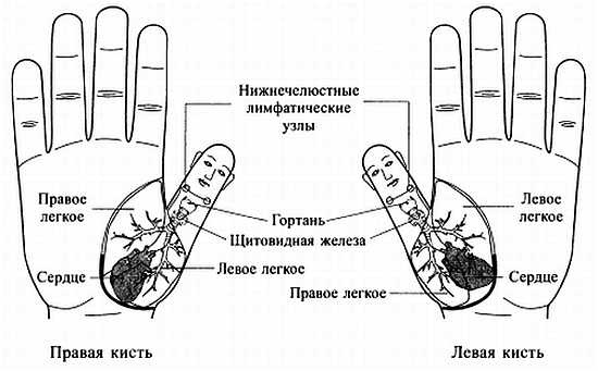 Сам себе Су Джок доктор Сам себе Су Джок доктор