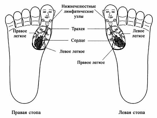 Сам себе Су Джок доктор Сам себе Су Джок доктор