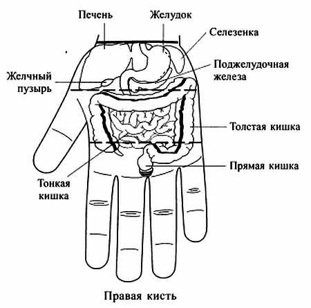 Сам себе Су Джок доктор Сам себе Су Джок доктор