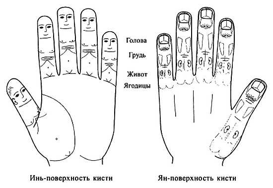 Сам себе Су Джок доктор Сам себе Су Джок доктор