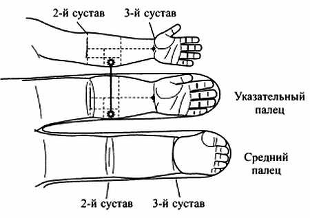 Сам себе Су Джок доктор Сам себе Су Джок доктор