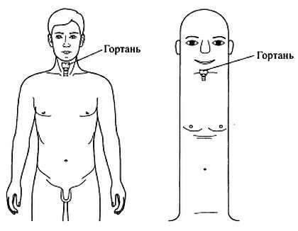 Сам себе Су Джок доктор Сам себе Су Джок доктор