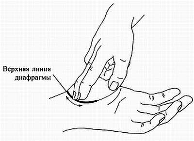 Сам себе Су Джок доктор Сам себе Су Джок доктор