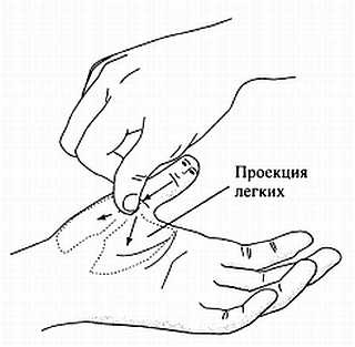 Сам себе Су Джок доктор Сам себе Су Джок доктор