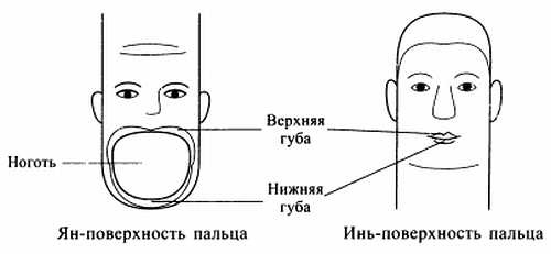 Сам себе Су Джок доктор Сам себе Су Джок доктор