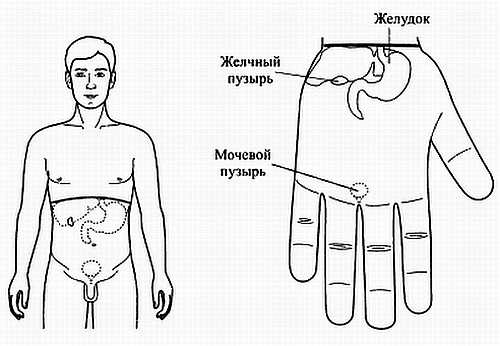 Сам себе Су Джок доктор Сам себе Су Джок доктор