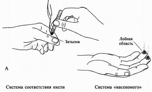 Сам себе Су Джок доктор Сам себе Су Джок доктор