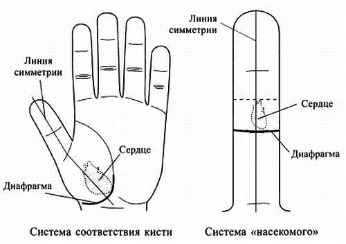 Сам себе Су Джок доктор Сам себе Су Джок доктор