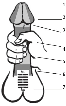 Секреты любви. Даосская практика для женщин и мужчин Секреты любви. Даосская практика для женщин и мужчин