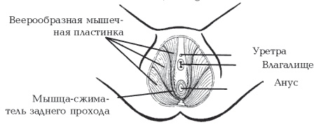 Секреты любви. Даосская практика для женщин и мужчин Секреты любви. Даосская практика для женщин и мужчин