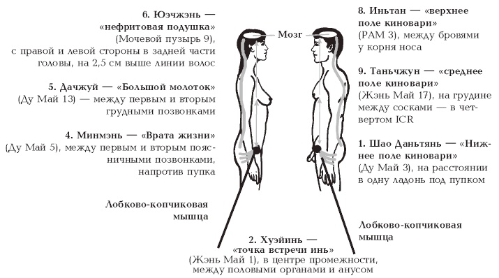 Секреты любви. Даосская практика для женщин и мужчин Секреты любви. Даосская практика для женщин и мужчин