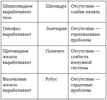 Секреты любви. Даосская практика для женщин и мужчин Секреты любви. Даосская практика для женщин и мужчин