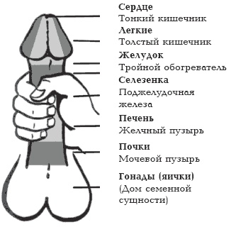 Секреты любви. Даосская практика для женщин и мужчин Секреты любви. Даосская практика для женщин и мужчин