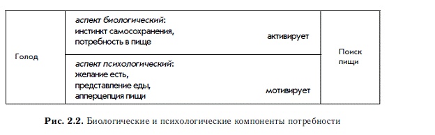 Мотивация и мотивы Мотивация и мотивы