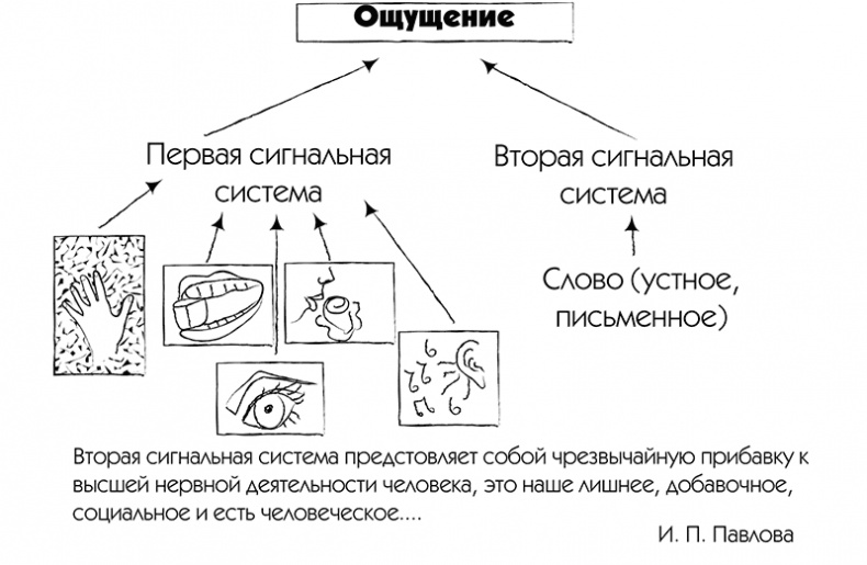 МЖ. Как научиться жить душа в душу с тем, кого любишь МЖ. Как научиться жить душа в душу с тем, кого любишь