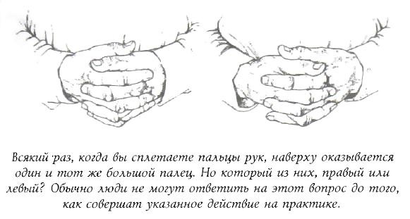 Библия языка телодвижений Библия языка телодвижений