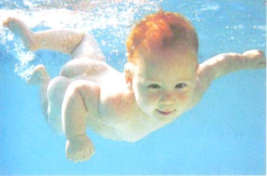 Библия языка телодвижений Библия языка телодвижений