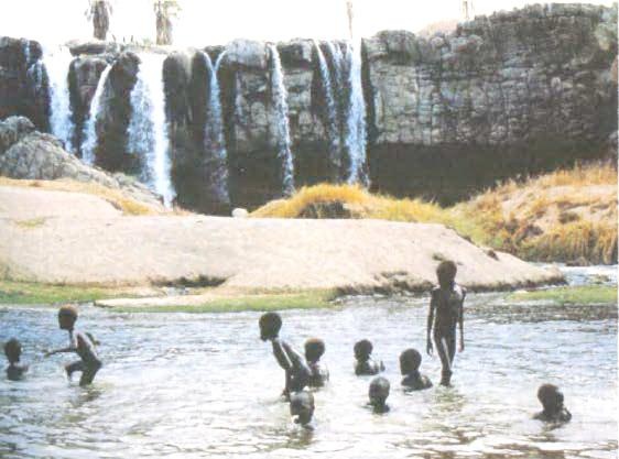 Библия языка телодвижений Библия языка телодвижений