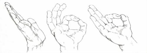 Библия языка телодвижений Библия языка телодвижений