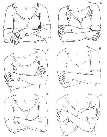 Библия языка телодвижений Библия языка телодвижений