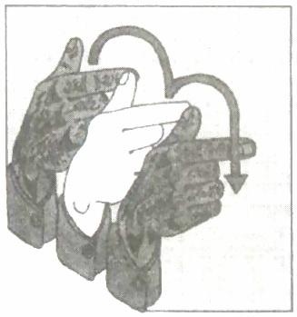 Библия языка телодвижений Библия языка телодвижений