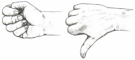 Библия языка телодвижений Библия языка телодвижений